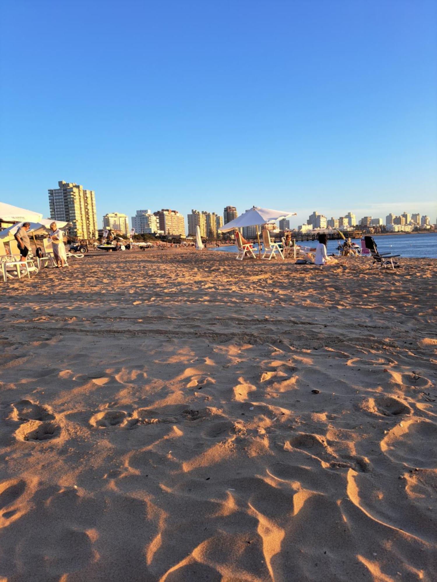 Monoambiente De Lujo En Place Lafayette - Ganadores Del Premio Award 2025 Punta del Este Dış mekan fotoğraf