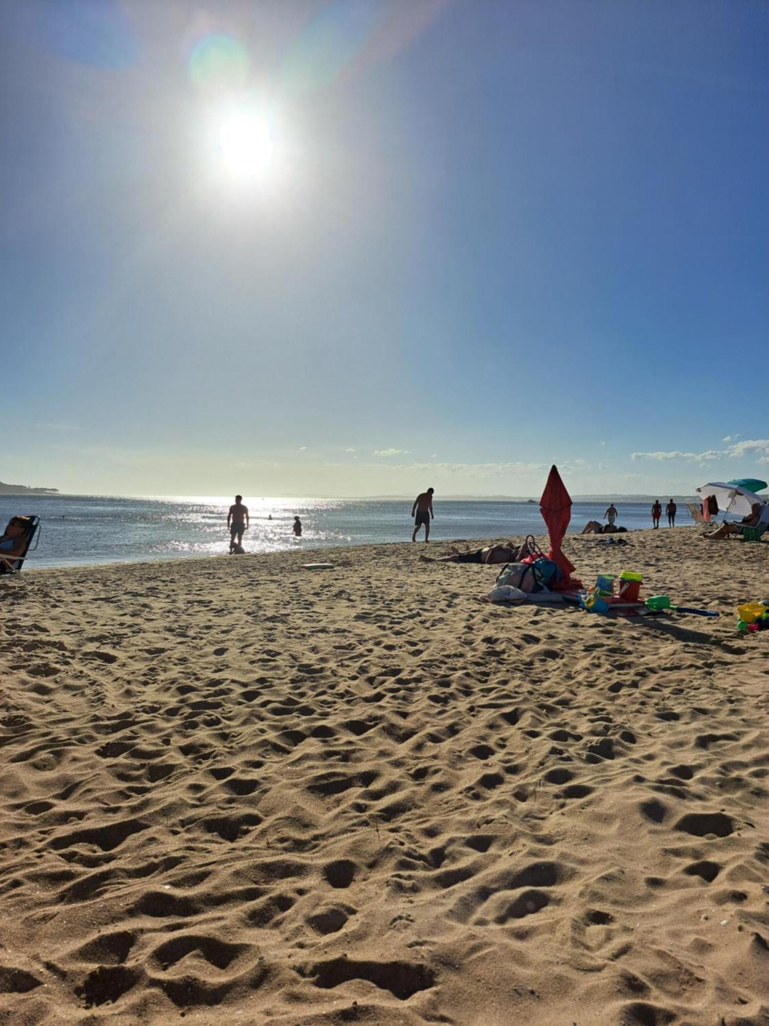 Monoambiente De Lujo En Place Lafayette - Ganadores Del Premio Award 2025 Punta del Este Dış mekan fotoğraf
